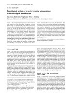 Báo cáo Y học: Coordinated action of protein tyrosine phosphatases in insulin signal transduction potx