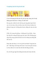 Căn phòng xinh cho bé gái mới sinh pdf