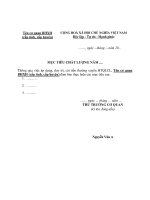 MẪU MỤC TIÊU CHẤT LƯỢNG NĂM .... potx