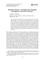 Rooted in Poverty?: Terrorism, Poor Economic Development, and Social Cleavages docx