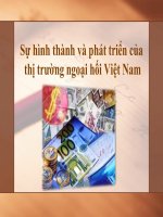 Sự hình thành và phát triển của thị trường ngoại hối Việt Nam pot