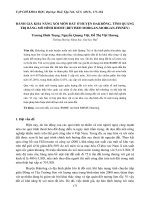 ĐÁNH GIÁ KHẢ NĂNG XÓI MÒN ĐẤT Ở HUYỆN ĐAKRÔNG, TỈNH QUẢNG TRỊ BẰNG MÔ HÌNH RMMF (REVISED MORGAN-MORGAN-FINNEY) pot