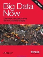 Big Data Now: 2012 Edition docx