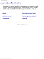 Internal Audit Division: OREGON UNIVERSITY SYSTEM INTERNAL AUDIT CHARTER ppt