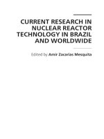 CURRENT RESEARCH IN NUCLEAR REACTOR TECHNOLOGY IN BRAZIL AND WORLDWIDE pptx