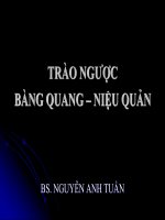 TRÀO NGƯỢC BÀNG QUANG – NIỆU QUẢN pot