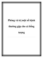 Phòng và trị một số bệnh thường gặp cho cá bống tượng pptx