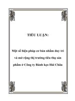 TIỂU LUẬN: Một số biện pháp cơ bản nhằm duy trì và mở rộng thị trường tiêu thụ sản phẩm ở Công ty Bánh kẹo Hải Châu potx