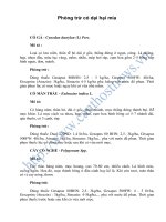 Phòng trừ cỏ dại hại mía potx