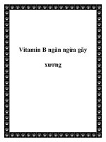 Vitamin B ngăn ngừa gãy xương pptx