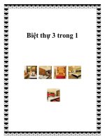 Biệt thự 3 trong 1 potx