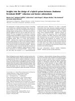 Báo cáo khoa học: Insights into the design of a hybrid system between Anabaena ferredoxin-NADP+ reductase and bovine adrenodoxin pot