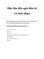 Độc đáo đèn quả dứa từ vỏ chai nhựa potx