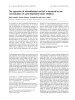 Báo cáo khoa học: The expression of retinoblastoma and Sp1 is increased by low concentrations of cyclin-dependent kinase inhibitors ppt