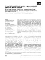 Báo cáo khoa học: A new sulfurtransferase from the hyperthermophilic bacterium Aquifex aeolicus Being single is not so simple when temperature gets high potx