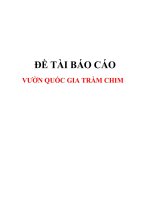 TỔNG QUAN VỀ VƯỜN QUỐC GIA TRÀM CHIM potx