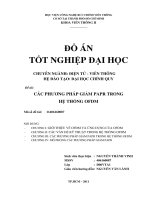 CÁC PHƯƠNG PHÁP GIẢM PAPR TRONG HỆTHỐNG OFDM