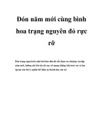 Đón năm mới cùng bình hoa trạng nguyên đỏ rực rỡ potx