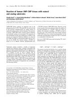 Báo cáo khoa học: Reaction of human UMP-CMP kinase with natural and analog substrates docx