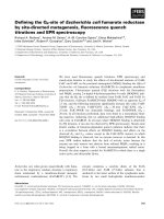 Báo cáo khoa học: Deﬁning the QP-site of Escherichia coli fumarate reductase by site-directed mutagenesis, ﬂuorescence quench titrations and EPR spectroscopy doc