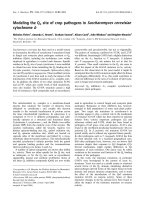 Báo cáo khoa học: Modeling the Qo site of crop pathogens in Saccharomyces cerevisiae cytochrome b ppt