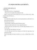 Bệnh bò sữa -  VIET NAM (tiếng việt)