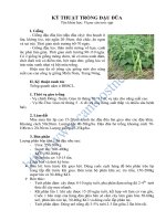 KỸ THUẬT TRỒNG ĐẬU ĐŨA pptx