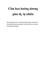 Cắm hoa hướng dương giản dị, tự nhiên pdf