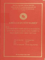 giải pháp phát triển dịch vụ ngân hàng quốc tế tại ngân hàng nông nghiệp và phát triển nông thôn việt nam