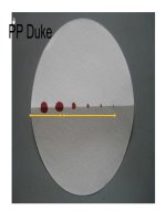 Sinh lý tiểu cầu docx