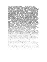 archetypes in the lion king