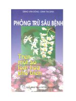 Phòng trừ sâu bệnh trên một số loài hoa phổ biến ppt
