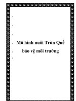  Mô hình nuôi Trùn Quế bảo vệ môi trường docx