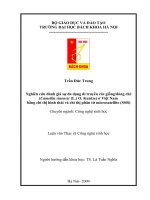 Nghiên cứu đánh giá sự đa dạng di truyền các giống dòng chè (camellia sinensis(l ) o  kuntze) ở việt nam bằng chỉ thị hình thái và chỉ thị phân tử microsatellite (SSR)