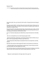 Bong gân cổ chân