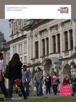 Cardiff Business School MBA Programme pot
