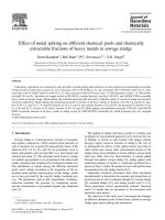Effect of metal spiking on different chemical pools and chemically extractable fractions of heavy metals