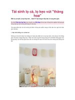 Tái sinh lọ cà, lọ kẹo vút 