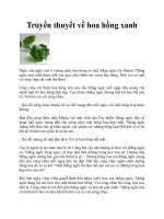 Truyền thuyết về hoa hồng xanh pdf