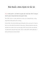 Bài thuốc chữa bệnh từ tắc kè pptx