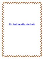 Cây bạch hạc chữa viêm khớp potx