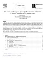 the role of morphology and crystallographic structure of metal oxides