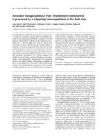 Báo cáo khoa học: Activated transglutaminase from Streptomyces mobaraensis is processed by a tripeptidyl aminopeptidase in the ﬁnal step pptx