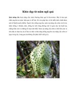 Khỏe đẹp từ mâm ngũ quả pdf