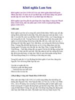 Khởi nghĩa Lam Sơn ppt