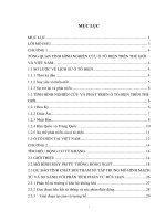 Tìm hiểu động cơ từ kháng và từ kháng có cấu trúc mới sử dụng cho ô tô điện