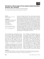 Báo cáo khoa học: Slc12a2 is a direct target of two closely related homeobox proteins, Six1 and Six4 docx