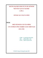 tiểu luận phân tích báo cáo tài chính cty cổ phần công nghiệp cao su miền nam (mã csm)