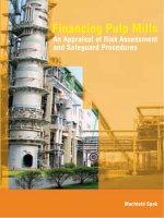 Financing Pulp Mills An Appraisal of Risk Assessment and Safeguard Procedures potx