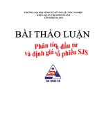 Bài thảo luận: Phân tích đầu tư và đinh giá cổ phiếu SJS potx